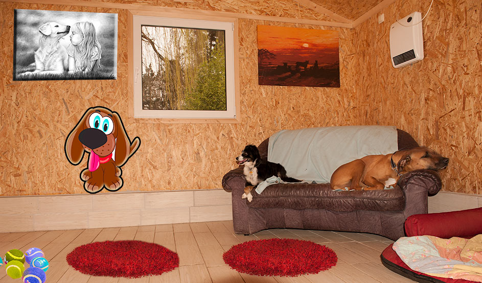 Hundeparkhotel › Hundepension Werths Hundehotel Hundesalon