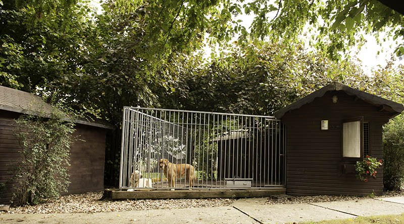 Hundeparkhotel › Hundepension Werths Hundehotel Hundesalon