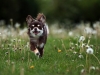 bildbild1
